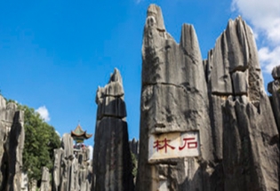 草莓视频污污污下载家具-昆明分公司